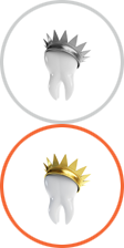 Transplant Services